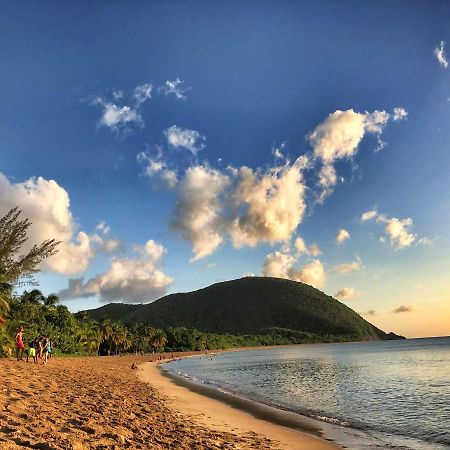 Le Surf Lodge, Chambre Avec Vue Mer Dans Un Ecrin De Verdure Deshaies Exterior photo