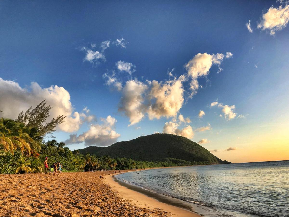 Le Surf Lodge, Chambre Avec Vue Mer Dans Un Ecrin De Verdure Deshaies Exterior photo